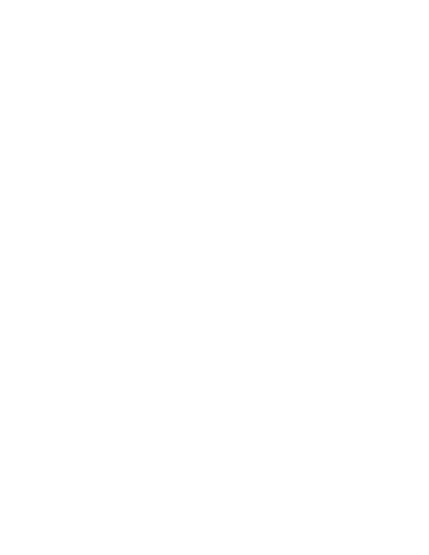 Custom Icon